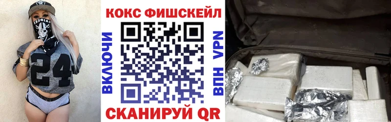 Кокаин FishScale  кракен как зайти  Ельня 