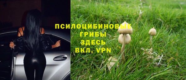наркотики Белокуриха