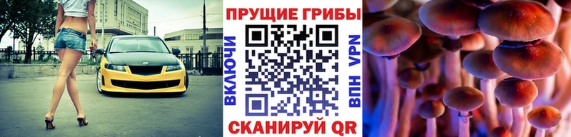 hydra рабочий сайт  Ельня  Галлюциногенные грибы MAGIC MUSHROOMS  закладки 
